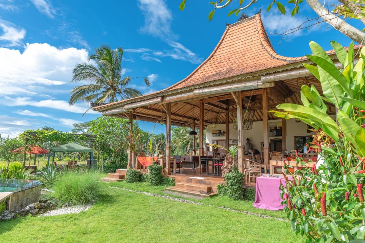 Bali Sawah Indah Ubud