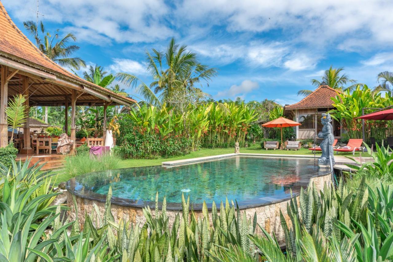 Bali Sawah Indah Ubud