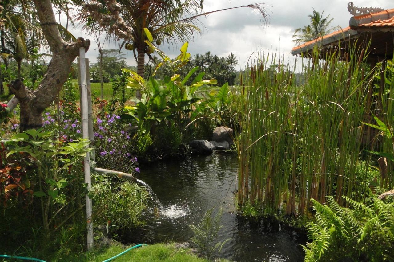 Wisma tamu Bali Sawah Indah *